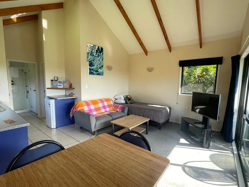 Chalet living area with vaulted timber ceiling, sofa bed, Sky TV and dining, Kerikeri