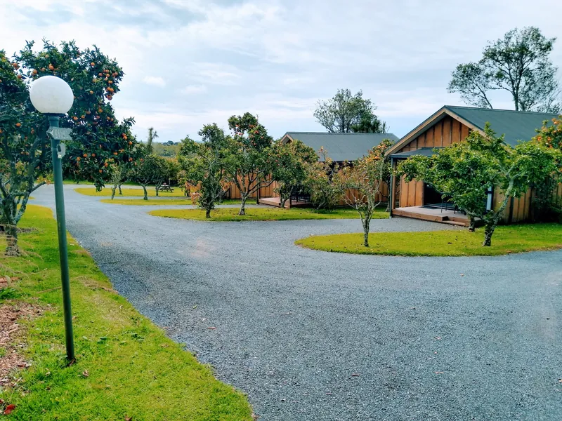 Standalone chalets in the citrus orchard at Kerigold Chalets Kerikeri