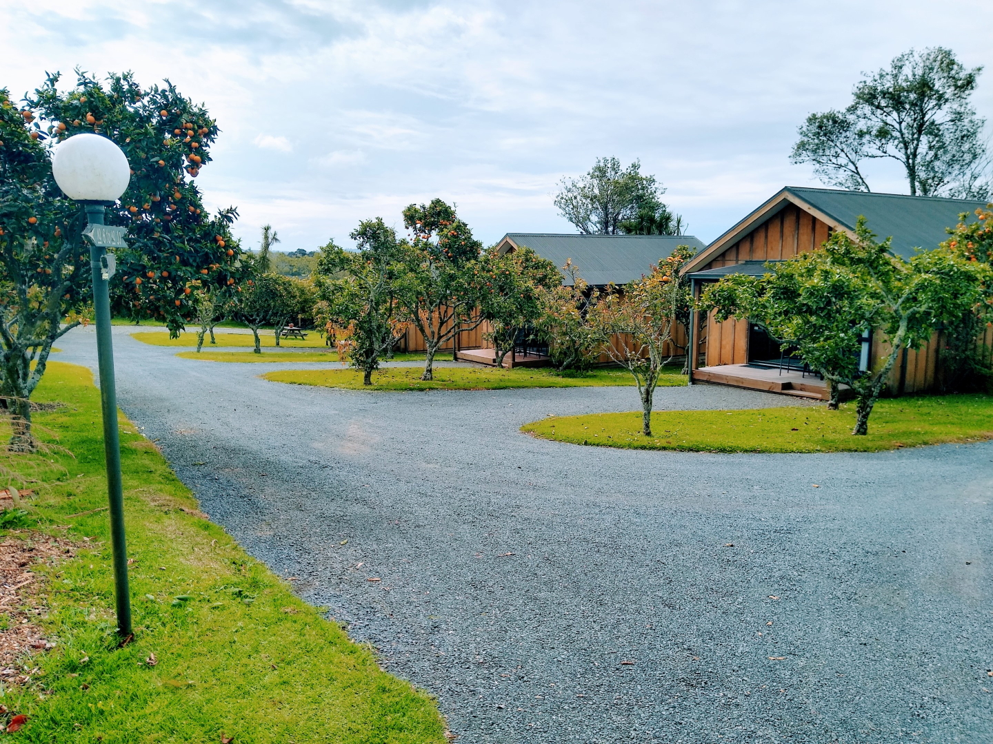 Standalone chalets in the citrus orchard at Kerigold Chalets Kerikeri