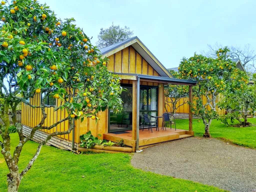 Accessible Accommodation in Northland