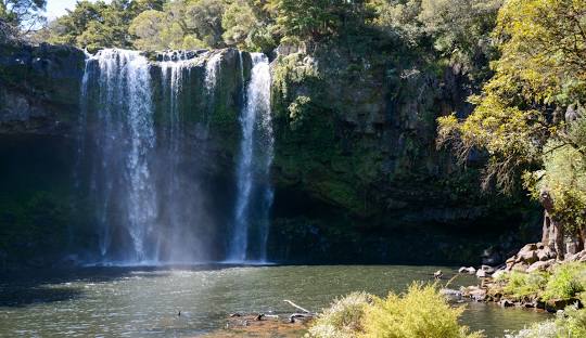 Rainbow Falls swimming spot in Kerikeri