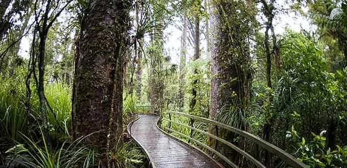 Parrot Place Kerikeri