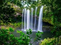 Te Wairere Waterfall