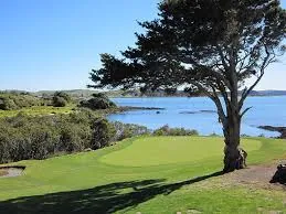 Waitangi Golf Club - golf accommodation Kerikeri