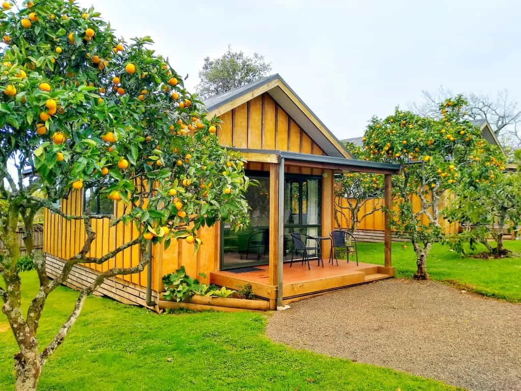 Choose your preferred chalet in Kerikeri
