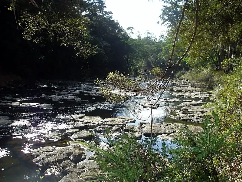 Fairy Pools Kerikeri with emerald waters and natural rock formations