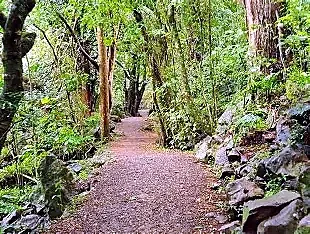 Kerikeri Basin Track along the river