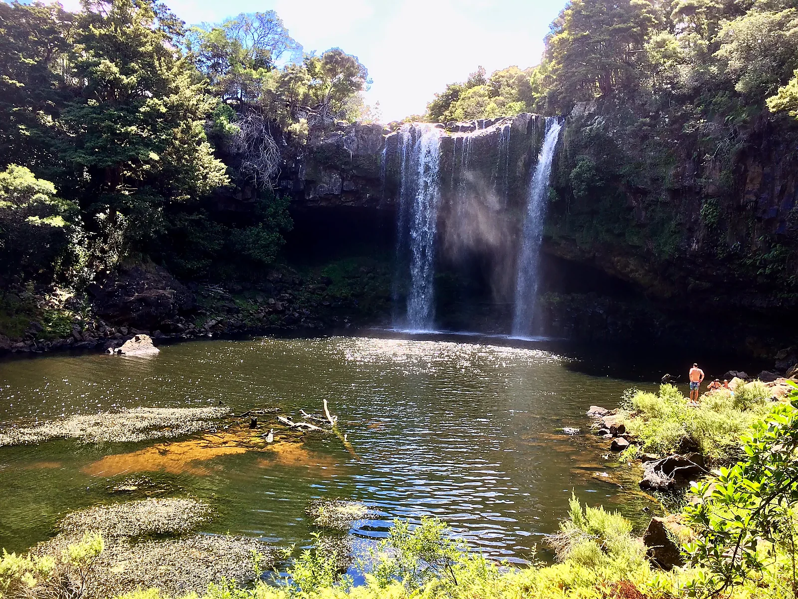 Scenic view of the Kerikeri River Track with lush native bush and flowing water