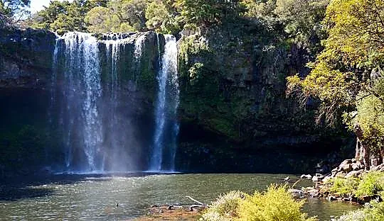 Rainbow Falls Kerikeri