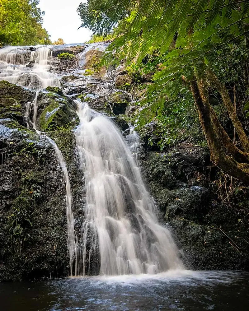 Secret Waterfall Kerikeri with pristine pool and lush surroundings