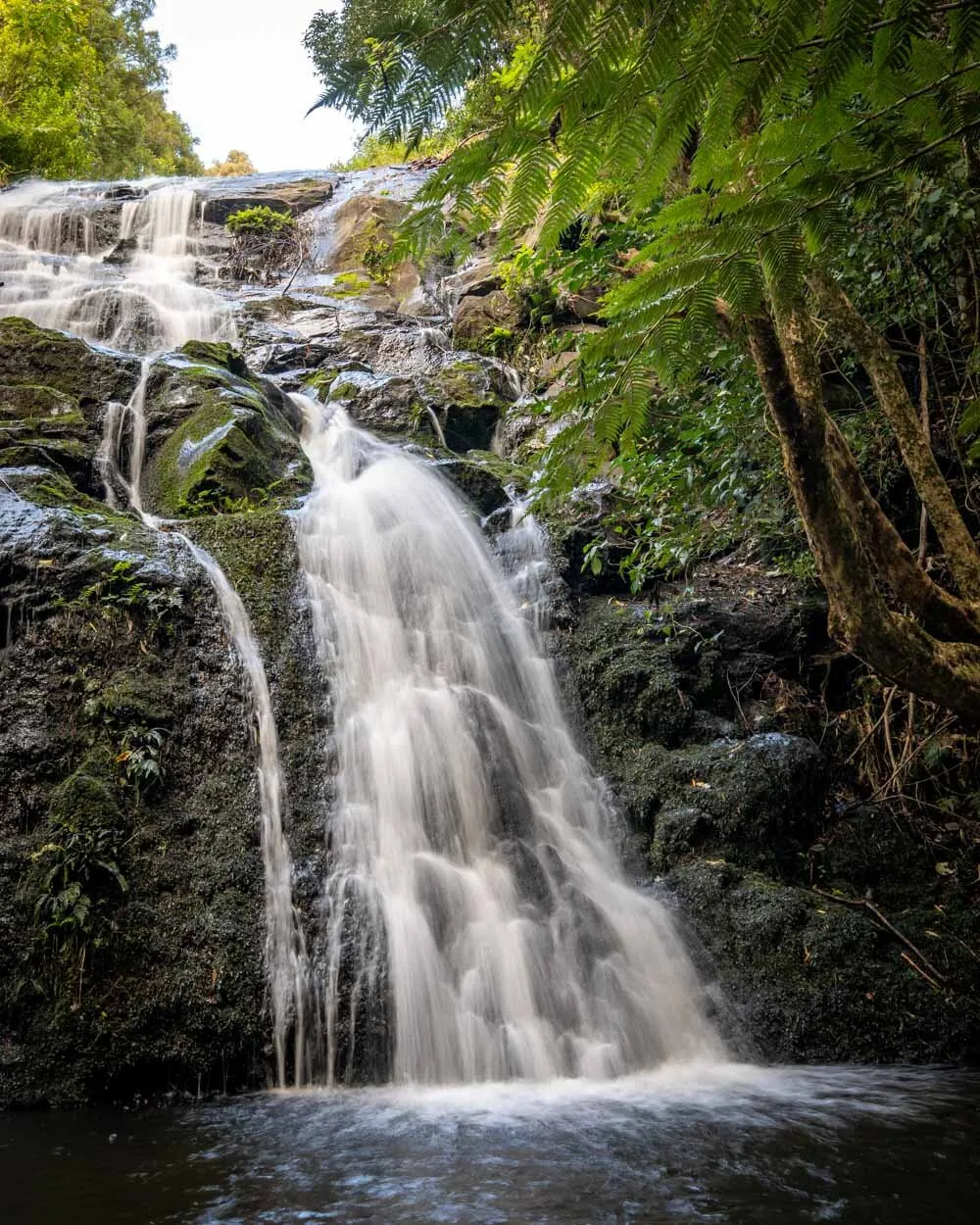 Secret Waterfall Kerikeri with pristine pool and lush surroundings