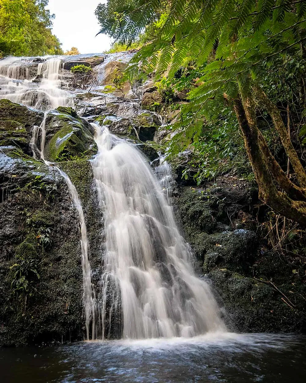 Secret Waterfall Kerikeri with pristine pool and lush surroundings