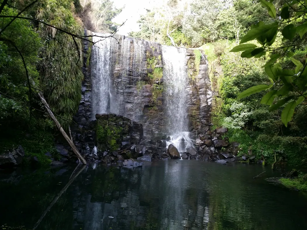 Te Wairere Waterfall Kerikeri with cascading water